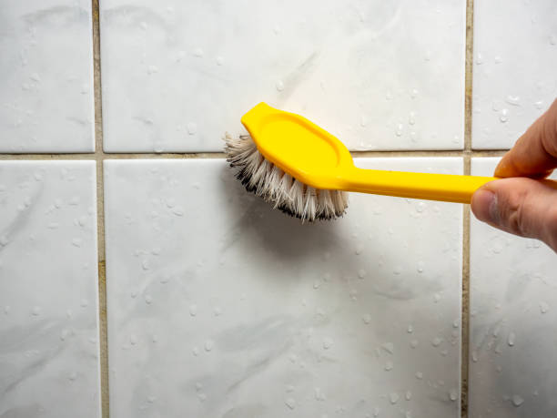 Office Mold Removal Services in Duluth, MN